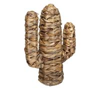 Atmosphera Cactus Haci – jacinthe d'eau H35 cm – Beige moyen