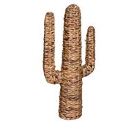 Atmosphera – Cactus déco Hacienda – H. 75 cm – Jacinthe