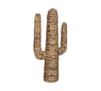 Décoration Cactus Hacienda Jacinthe D'eau H75 Cm - Atmosphera For Kids Beige