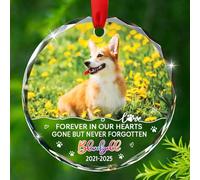 Décoration commémorative en verre avec motif empreintes de pattes de chien, Forever in Our Hearts Gone But Never Forgotten - Cadeau pour chien, papa, maman, nom de l'année personnalisée, décoration