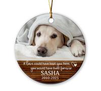 Décoration commémorative pour chien 2025 personnalisée, décoration commémorative en céramique pour arbre de Noël, cadre photo, décoration de Noël commémorative pour chien, nom personnalisé et année