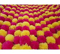 DECORATION CRAFT Guirlande de Fleurs de Calendula artificielles Jaune et Magenta de 1,5 m pour fêtes, Mariages, Diwali Mehndi Pooja, Festival et décoration Traditionnelle Indienne sur Le thème Indien