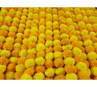 Decoration Craft Lot de 5 guirlandes de Fleurs de Calendula artificielles Jaune et Orange de 1,5 m de Long pour fêtes, Mariages Indiens, décorations à thème Indien, décoration d'intérieur, Accessoire