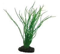 Décoration d’aquarium Hobby Sagittaria Vert 20 cm