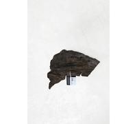 Décoration d’aquarium racine mangrove Aquavie Marron 100/160 cm