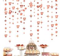 Décoration d'anniversaire 17 ans - Numéro 17 - Cercle à pois - Étoile métallique - Pour fille de 17 ans - Pour anniversaire de 17 ans - Fournitures officielles de fête pour adolescentes