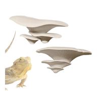 Décoration d'aquarium de reptile, champignon 3D adhésif, décoration de maison de grenouille artificielle - pour geckos, lézards, serpents, dragons barbu, crabes d'animaux domestiques, grillons et