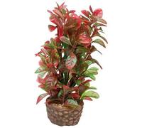 Décoration d'aquarium Hobby Flora Stone 4 Rouge 4x13 cm