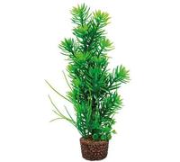 Décoration d'aquarium Hobby Flora Stone 5 Vert 4x25 cm
