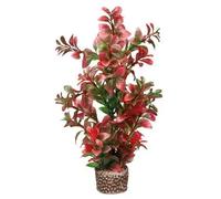 Décoration d'aquarium Hobby Flora Stone 7 Rouge 4x25 cm