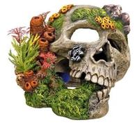 Décoration d'aquarium - NOBBY - 28135 - Tête de mort - Plastique - Résine