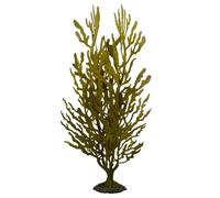 Décoration d'aquarium plante artificielle Aqua Della Kelp buisson Vert L / 8x8x50 cm