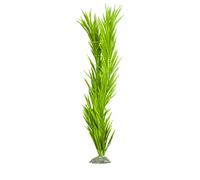 Décoration d'aquarium plante artificielle Aqua Della Kelp Vert S / 6x5,5x34 cm