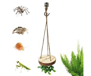 Décoration d'araignée d'escalade - Balançoire d'activité d'escalade - Accessoire pour terrariums d'araignée - Pour serpents, tortues d'eau, tortues terrestres, reptiles, habitats, aquariums et