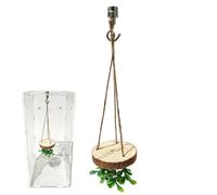 Décoration d'araignée d'escalade - Support d'activités d'escalade - Accessoire pour terrariums d'araignées sautées, pour serpents, tortues d'eau, tortues terrestres, habitats de reptiles et