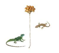 Décoration d'araignée sauteuse | Étagère en champignon magnétique | Décoration de clôture d'araignées, accessoire réaliste du terrarium, décoration d'araignées - Geckos Lézards grenouilles arboricoles