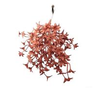Décoration d'automne pour orchidée - 33 cm - Pour table de mariage | Design réaliste, fleurs orange vif, trompe la vraie nature, pas besoin d'arrosage, élégant