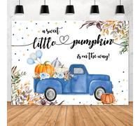 Décoration de baby shower sur le thème de la petite citrouille : camion bleu, ballons feuilles, bannière « C’est un garçon », photomaton
