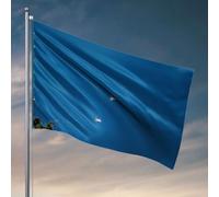 Décoration de bar d'arrière-cour deux oiseaux volant dans le ciel. Drapeaux amusants pour chambre à coucher pour hommes (152 x 244 cm)