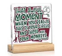 Décoration de bureau pour homme et femme - Décoration de bureau - Cadeau pour patron, collègues, employés, décoration de table - Ce moment terrible lorsque vous réalisez un panneau en acrylique de