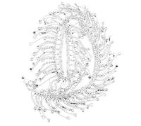 Décoration De Chaîne De Gland De Strass, Frange De Chaîne De Gland De Strass Garniture D'Appliques De Mariée Décoration De Sac De Vêtements De Cristal(Argent)