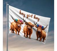 Décoration de chambre amusante avec trois vaches Highland avec nœuds colorés pour homme, grotte d'hiver, drapeaux de jardin (30 x 45 cm)