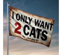 Décoration de chambre d'université pour les gars I Only Want 2 Cats - Drapeau de décoration pour dortoirs (120 x 180 cm)