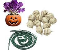 Décoration de crâne, petite statuette de crâne en résine Décoration Halloween 12 pièces - Figurines de crâne effrayantes Accessoires pour fêtes, jardin, pelouse, extérieur