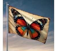 Décoration de dortoir amusante avec ailes multicolores sur fond rustique, drapeaux de chambre pour filles et hommes, meubles de grotte (60 x 90 cm)