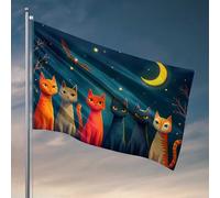 Décoration de dortoir pour homme, nuit magique avec drapeaux colorés pour caverne d'homme, drapeaux amusants pour dortoir universitaire (30 x 45 cm)