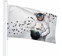 Décoration de drapeau de chat 0,9 x 1,5 m Astronaute Animal Earth Space Kitten Furry Fluffy Stone Fantasy Universe Polyester Motif imprimé Décoration extérieure pour maisons et jardins