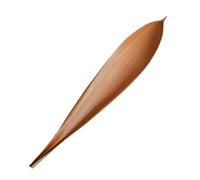 Décoration De Feuilles De Cacao - Branches Séchées Naturelles, Compositions Florales Rustiques | Affichage De Feuilles De Ton De Terre, Élément De Conception Botanique Fabriqué À La Main, Pièce Maître