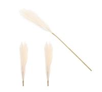 Décoration de Fleur Pampas Artificielle Beige, Tige Réaliste