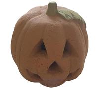 Décoration de Foyer d'halloween Portable en Forme de - Décoration d'intérieur et d'extérieur pour feu de Camp, cheminée, Barbecue