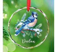 Décoration de Noël 2025 en verre avec motif geai bleu sur une branche, cadeau pour les amoureux des animaux domestiques, décoration de Noël en verre à suspendre avec nom personnalisé