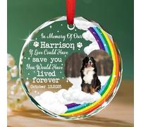 Décoration de Noël 2025 en verre avec photo commémorative de chien, en mémoire de notre arc-en-ciel, cadeau pour la perte de chien et chat, décoration de condoléances pour animaux de compagnie