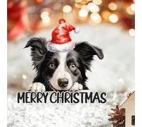 Décoration de Noël en acrylique 2D en forme de chapeau de Père Noël Border Collie - Souvenir de chien - Ornements à suspendre pour sapin de Noël, boules de Nouvel An, cadeaux de Noël