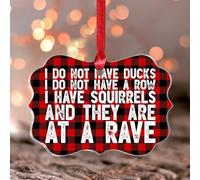 Décoration de Noël en acrylique transparent avec inscription « I Have Squirrels And They Are At A Rave » - Décoration d'intérieur - Décoration d'intérieur - Papillon transparent - Pendentif pour