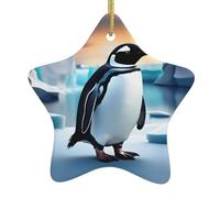 Décoration de Noël en céramique à suspendre en forme d'étoile WHJSHOP pingouin Antarctique Ice Printing Facile à accrocher sur les arbres, les portes et les fenêtres