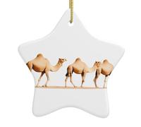 Décoration de Noël en céramique à suspendre en forme d'étoile YYHHAOFA Camels à la recherche d'eau avec cordon métallique perforé et doré