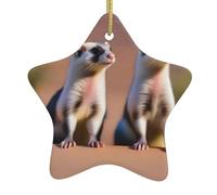 Décoration de Noël en céramique à suspendre en forme d'étoile YYHHAOFA suricate regardant le désert Facile à accrocher sur les arbres, les portes et les fenêtres