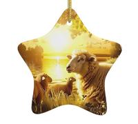 Décoration de Noël en céramique à suspendre en forme d'étoile YYHWHJDE mouton au bord du lac Impressions faciles à accrocher sur les arbres, les portes et les fenêtres
