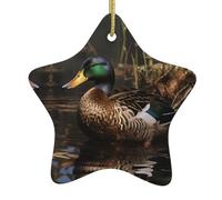 Décoration de Noël en céramique en forme d'étoile - Canard colvert - Accessoires pour sapin de Noël - Accessoires pour centres commerciaux, fenêtres et bureaux