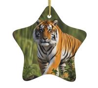 Décoration de Noël en céramique en forme d'étoile - Tigre du Bengale - Accessoires pour sapin de Noël - Accessoires pour centres commerciaux, fenêtres et bureaux
