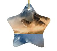 Décoration de Noël en céramique en forme d'étoile WHJSHOP deux loups à suspendre pour centres commerciaux, maisons et points de vente au détail