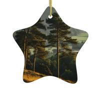 Décoration de Noël en céramique en forme d'étoile WHJSHOP épicéa dans la vallée Accessoires pour sapin de Noël pour centres commerciaux, fenêtres et bureaux