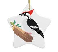 Décoration de Noël en céramique en forme d'étoile WHJSHOP Pic à la recherche de nourriture Motif arbre de Noël Accessoires pour centres commerciaux, fenêtres et bureaux