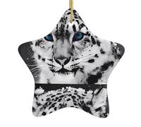 Décoration de Noël en céramique en forme d'étoile WHJSHOP Tigre des neiges à suspendre Décoration d'intérieur pour centres commerciaux maisons et points de vente au détail
