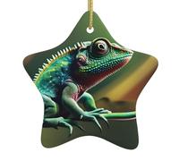 Décoration de Noël en céramique en forme d'étoile WHJSSF Caméléon Écouter de la musique Impression pour décorations de vacances dans les centres commerciaux, supermarchés et maisons