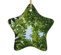 Décoration de Noël en céramique en forme d'étoile WHJSSF Feuilles vertes à la recherche pour décorations de vacances dans les centres commerciaux, supermarchés et maisons